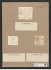 Coscinodiscus sp. (de-Toni-Nr.: Genus 202) Zeichnungen Sammlung Grunow Nr. 8957 (NHMW-BOT-W0378645)